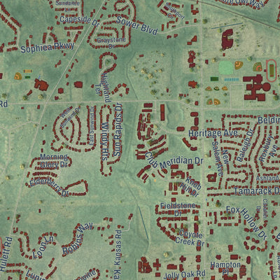 Close-up of the map of Okemos, Michigan print showing street and building detail