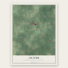 Oliver, Huron County, Michigan map print, the full design