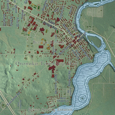 Close-up of the map of Oronoko, Michigan print showing street and building detail