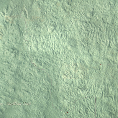 Close-up of the map of Osceola, Osceola County, Michigan print showing street and building detail