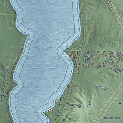 Close-up of the map of Otsego Lake, Michigan print showing street and building detail