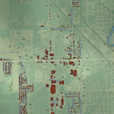 Close-up of the map of Owosso, Shiawassee County, Michigan print showing street and building detail
