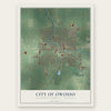 Owosso, Michigan map print, the full design
