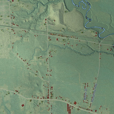Close-up of the map of Palmyra, Michigan print showing street and building detail