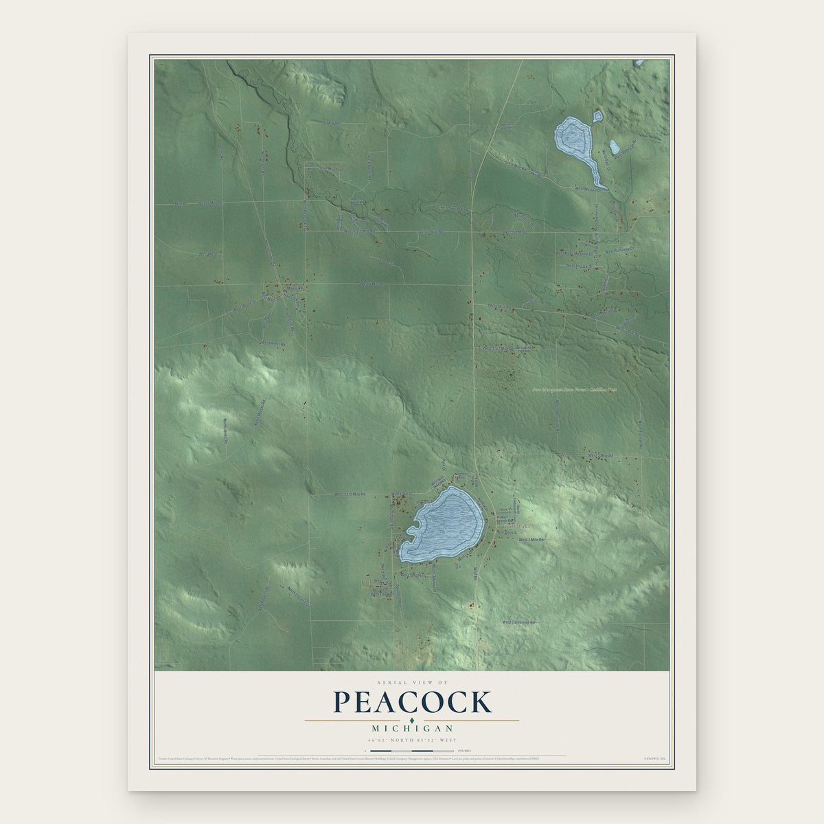 Peacock, Michigan map print, the full design