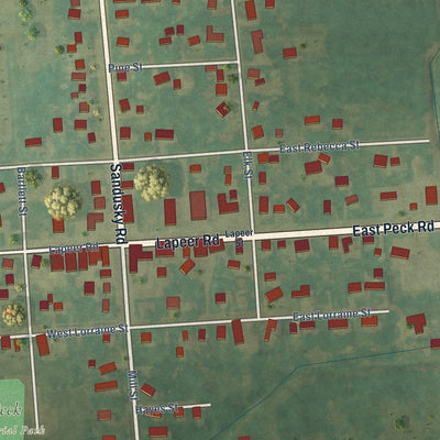 Close-up of the map of Peck, Michigan print showing street and building detail