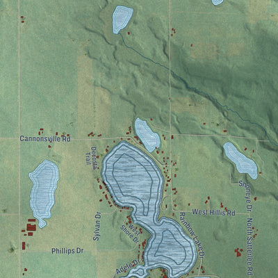 Close-up of the map of Pine, Michigan print showing street and building detail