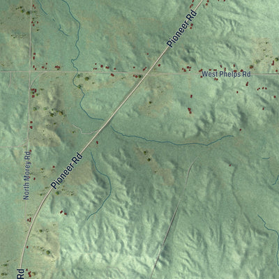 Close-up of the map of Pioneer, Michigan print showing street and building detail