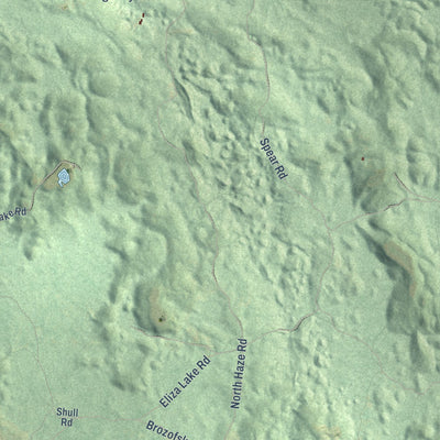 Close-up of the map of Platte, Michigan print showing street and building detail