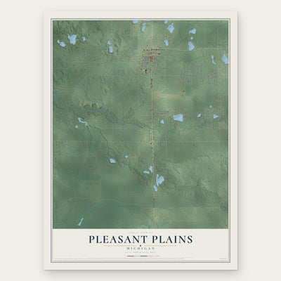 Pleasant Plains, Michigan map print, the full design