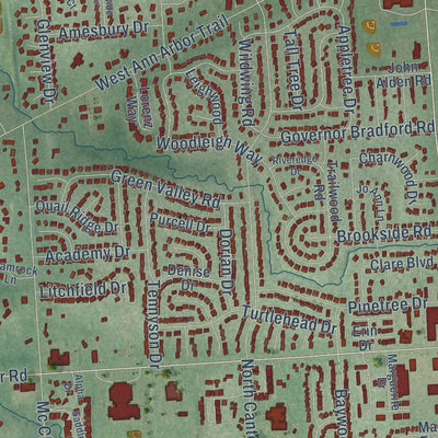 Close-up of the map of Plymouth, Wayne County, Michigan print showing street and building detail