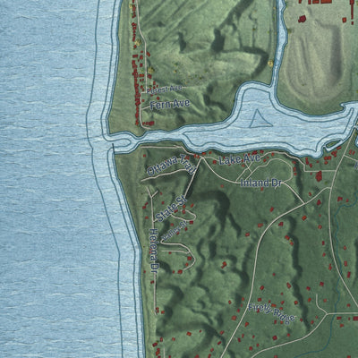 Close-up of the map of Port Sheldon, Michigan print showing street and building detail