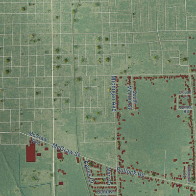 Close-up of the map of Portsmouth, Michigan print showing street and building detail