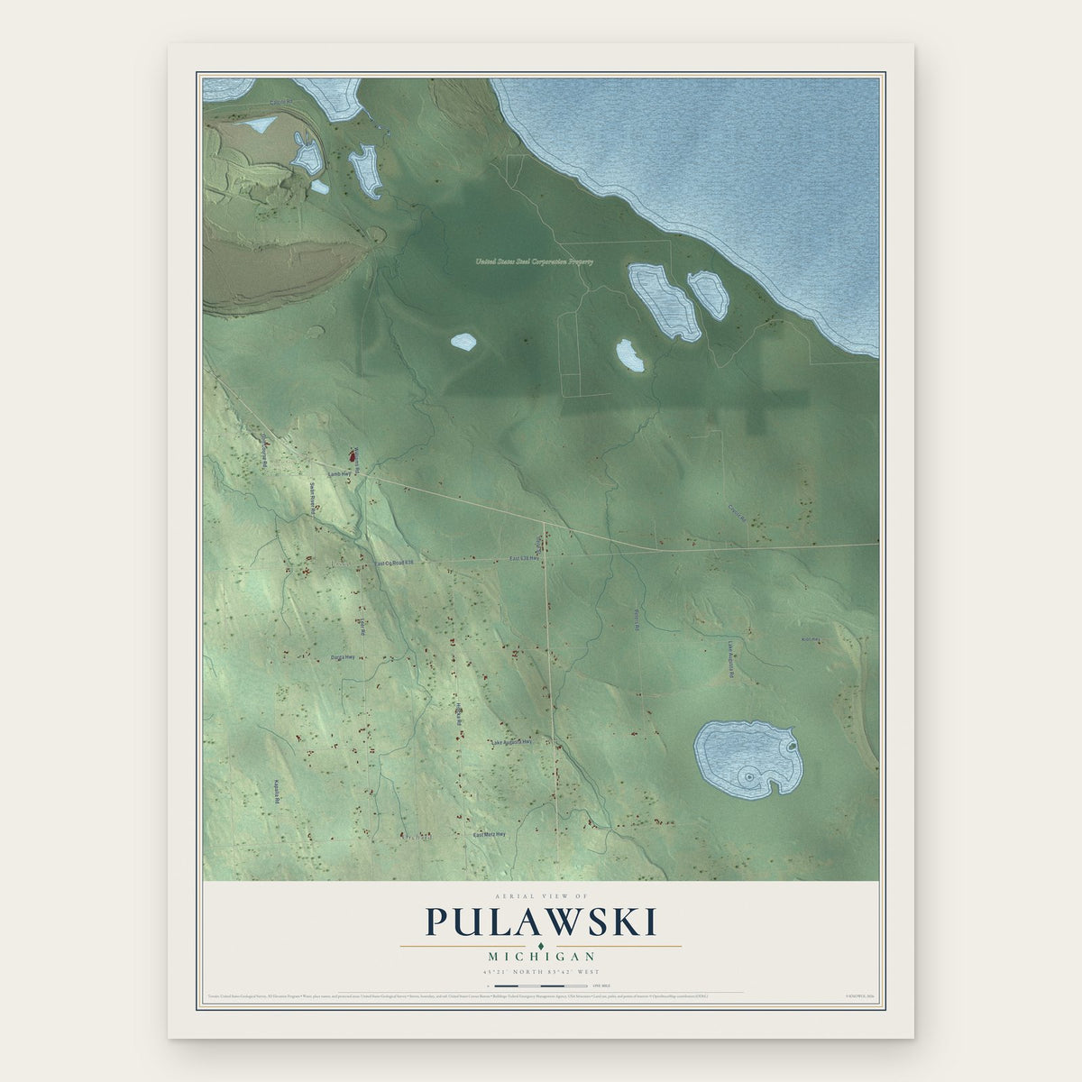 Pulawski, Michigan map print, the full design