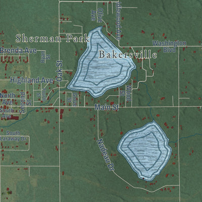 Close-up of the map of Pullman, Michigan print showing street and building detail