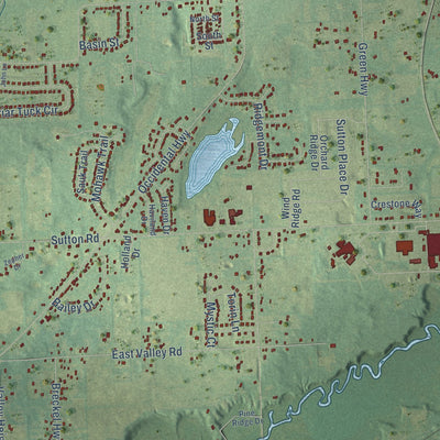 Close-up of the map of Raisin, Michigan print showing street and building detail
