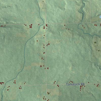 Close-up of the map of Ransom, Michigan print showing street and building detail