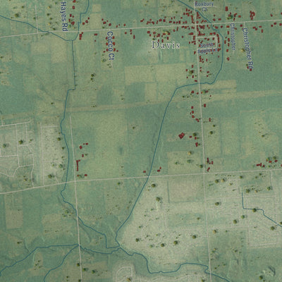 Close-up of the map of Ray, Michigan print showing street and building detail