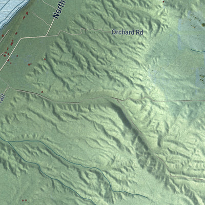 Close-up of the map of Readmond, Michigan print showing street and building detail