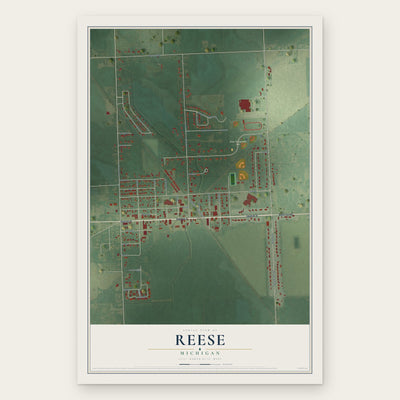 Reese, Michigan map print, the full design