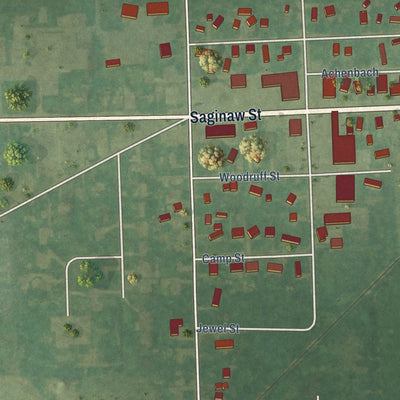 Close-up of the map of Reese, Michigan print showing street and building detail
