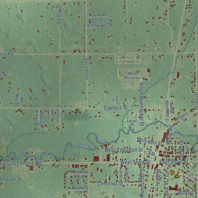 Close-up of the map of Reynolds, Michigan print showing street and building detail
