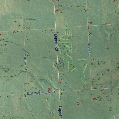 Close-up of the map of Rich, Michigan print showing street and building detail
