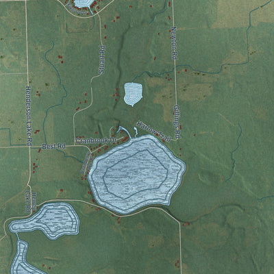 Close-up of the map of Richland, Ogemaw County, Michigan print showing street and building detail
