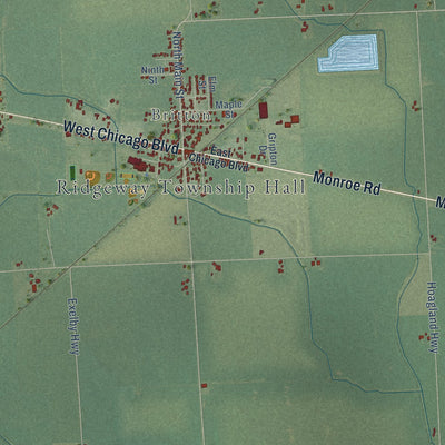 Close-up of the map of Ridgeway, Michigan print showing street and building detail