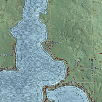Close-up of the map of Rollin, Michigan print showing street and building detail