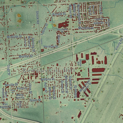 Close-up of the map of Romulus, Michigan print showing street and building detail