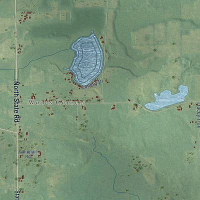Close-up of the map of Ronald, Michigan print showing street and building detail