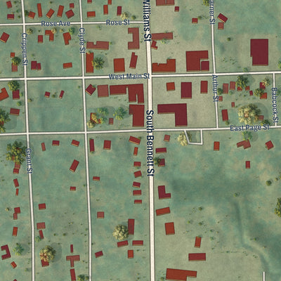 Close-up of the map of Rose City, Michigan print showing street and building detail
