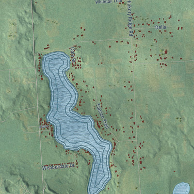 Close-up of the map of Rose, Oakland County, Michigan print showing street and building detail