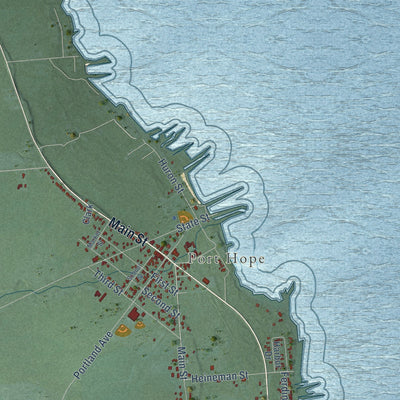 Close-up of the map of Rubicon, Michigan print showing street and building detail