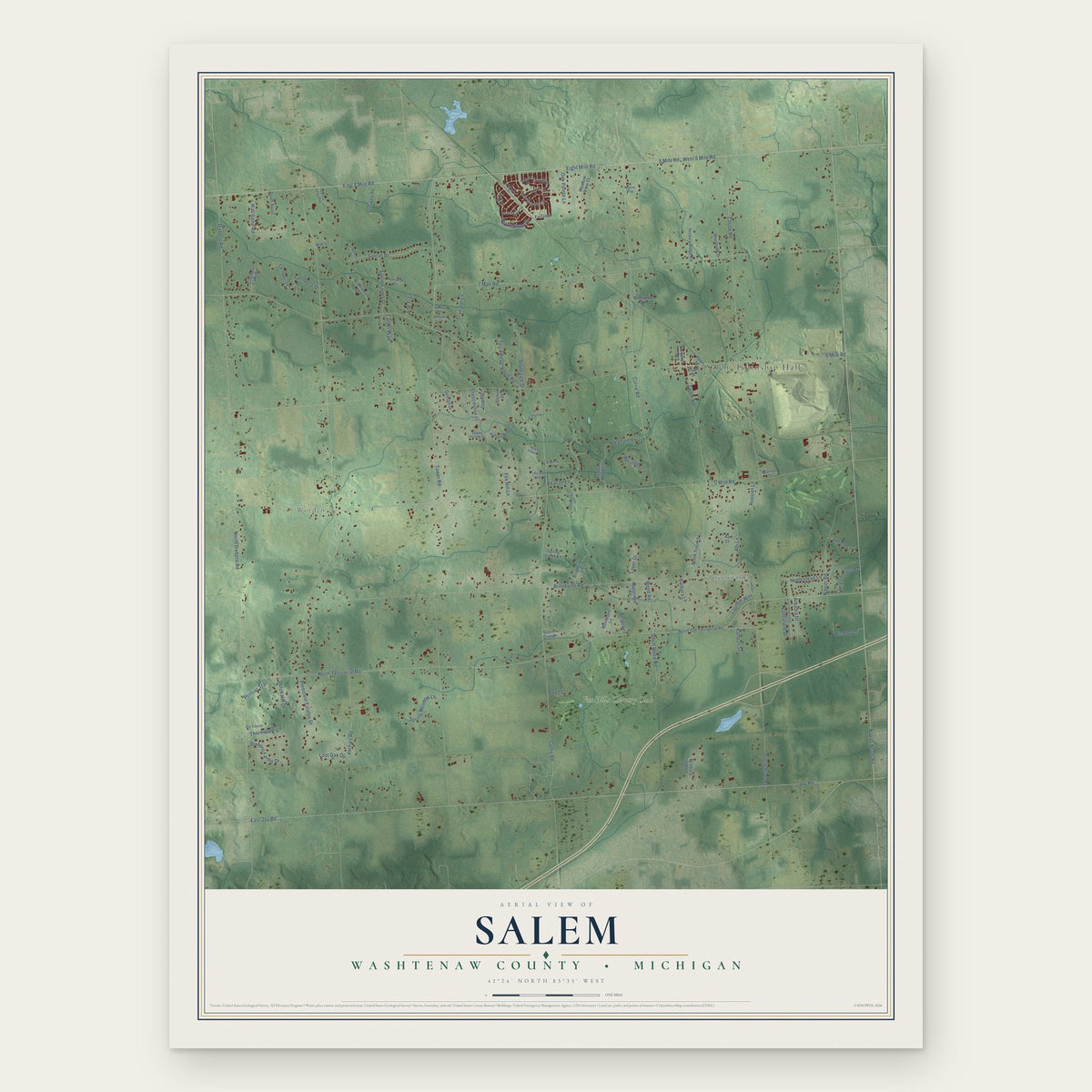 Salem, Washtenaw County, Michigan map print, the full design