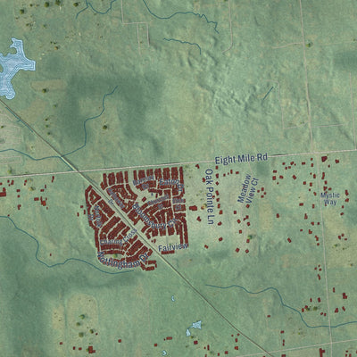 Close-up of the map of Salem, Washtenaw County, Michigan print showing street and building detail
