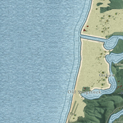 Close-up of the map of Saugatuck, Allegan County, Michigan print showing street and building detail