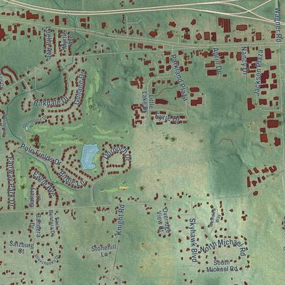 Close-up of the map of Scio, Michigan print showing street and building detail