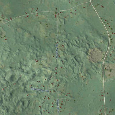 Close-up of the map of Sharon, Michigan print showing street and building detail