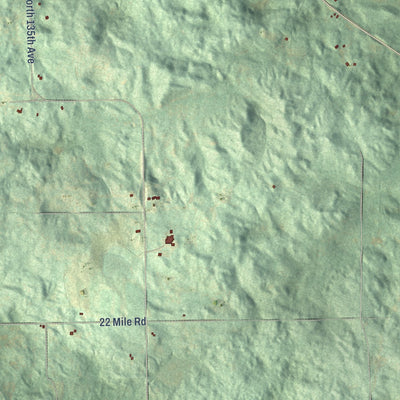 Close-up of the map of Sherman, Osceola County, Michigan print showing street and building detail
