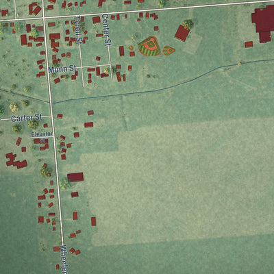 Close-up of the map of Snover, Michigan print showing street and building detail