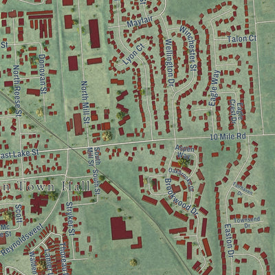 Close-up of the map of South Lyon, Michigan print showing street and building detail