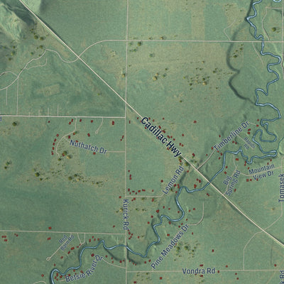Close-up of the map of Springdale, Michigan print showing street and building detail