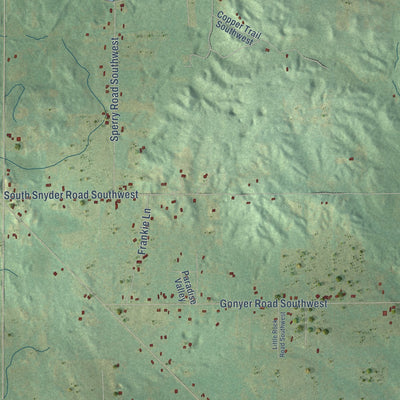 Close-up of the map of Springfield, Kalkaska County, Michigan print showing street and building detail