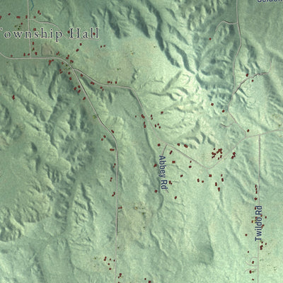 Close-up of the map of Springvale, Michigan print showing street and building detail