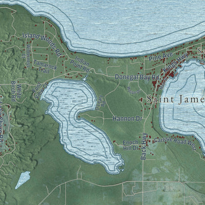 Close-up of the map of St. James, Michigan print showing street and building detail