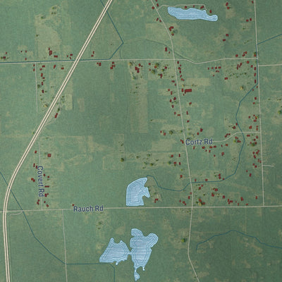 Close-up of the map of Summerfield, Monroe County, Michigan print showing street and building detail