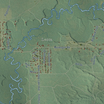 Close-up of the map of Summerfield, Clare County, Michigan print showing street and building detail