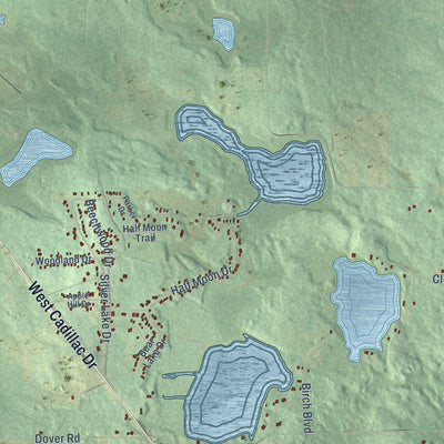Close-up of the map of Surrey, Michigan print showing street and building detail